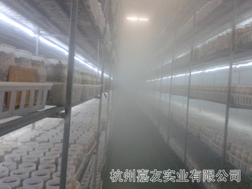 食用菌加濕器 食用菌加濕器