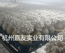 超聲波加濕器 超聲波加濕器